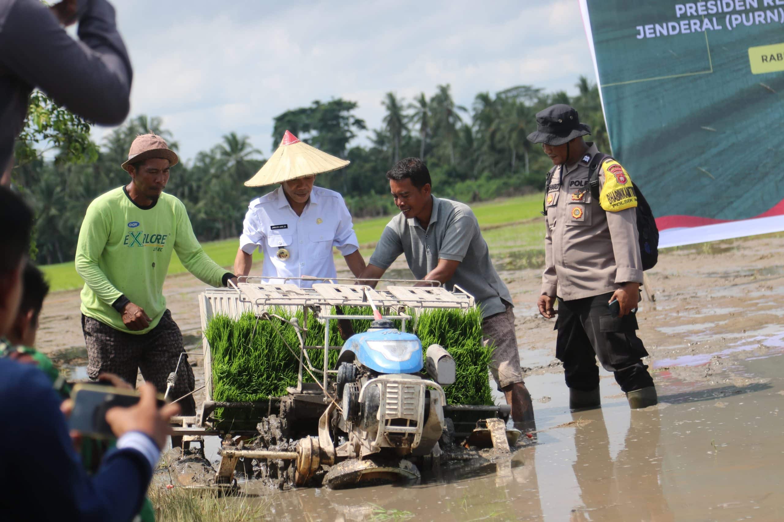 Ketapang Laksanakan Tanam Padi Serentak Bersama Presiden